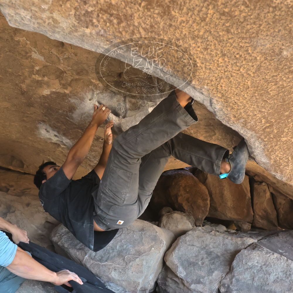 

Filename: SRM_20251110_1341270.jpg
Aperture: f/5.6
Shutter Speed: 1/500
Body: Canon EOS R6
Lens: Canon EF 16-35mm f/2.8 L