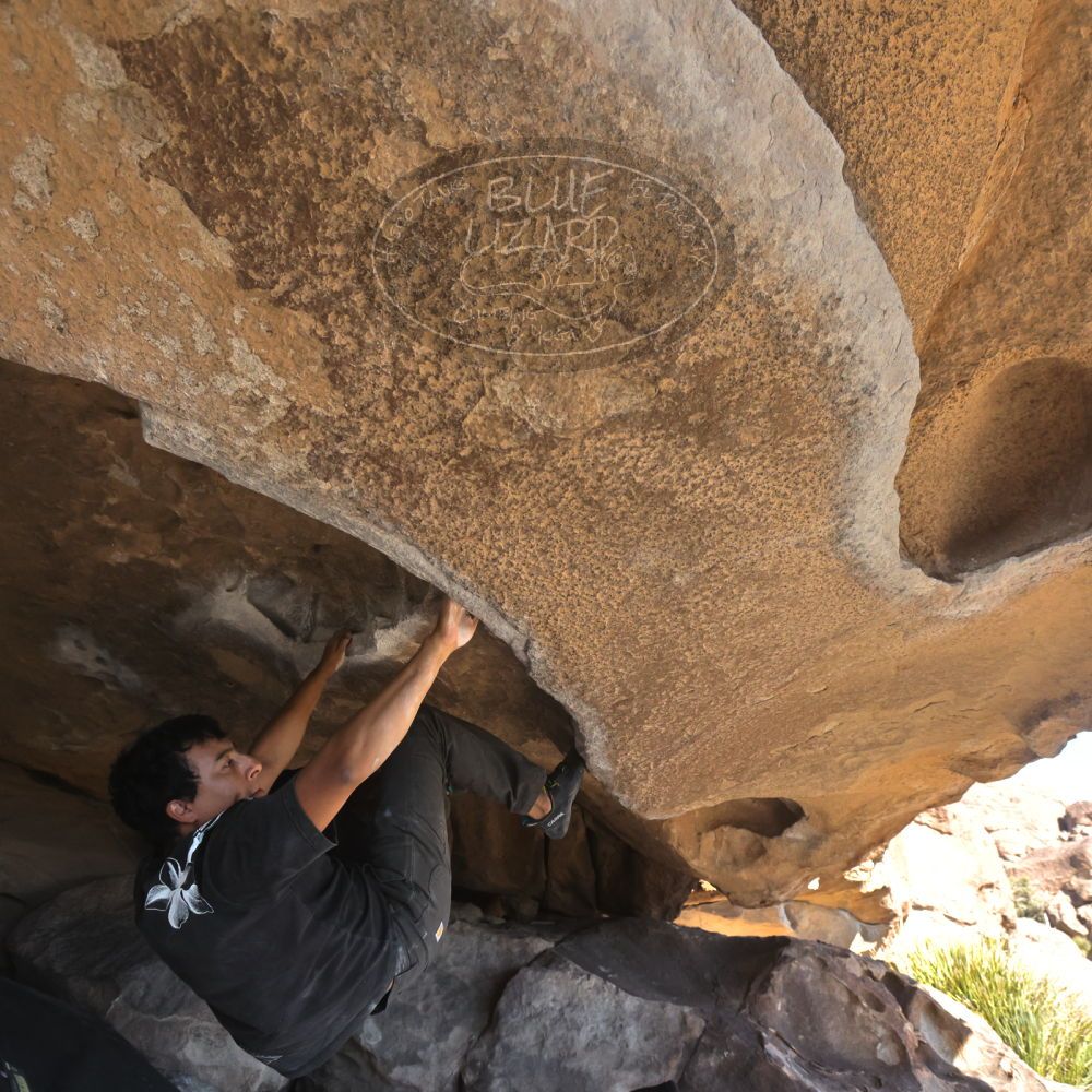 

Filename: SRM_20251110_1341340.jpg
Aperture: f/5.6
Shutter Speed: 1/500
Body: Canon EOS R6
Lens: Canon EF 16-35mm f/2.8 L