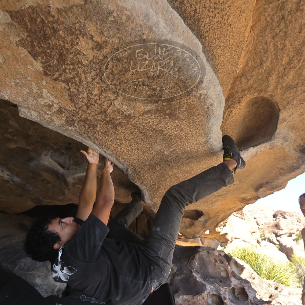 

Filename: SRM_20251110_1341380.jpg
Aperture: f/5.6
Shutter Speed: 1/500
Body: Canon EOS R6
Lens: Canon EF 16-35mm f/2.8 L