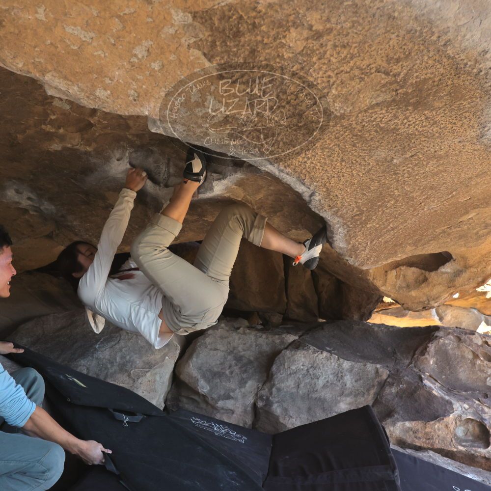 

Filename: SRM_20251110_1346390.jpg
Aperture: f/5.6
Shutter Speed: 1/500
Body: Canon EOS R6
Lens: Canon EF 16-35mm f/2.8 L