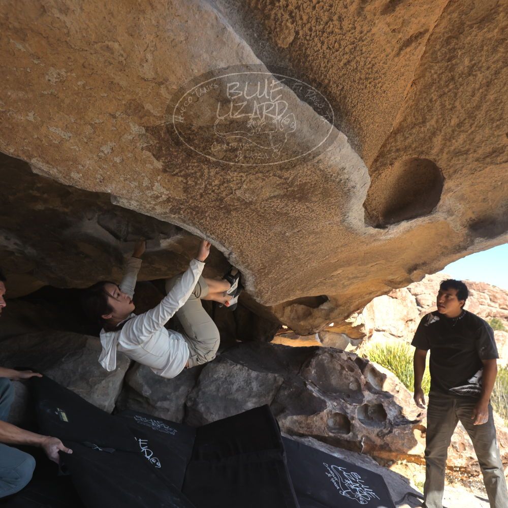 

Filename: SRM_20251110_1346470.jpg
Aperture: f/5.6
Shutter Speed: 1/500
Body: Canon EOS R6
Lens: Canon EF 16-35mm f/2.8 L