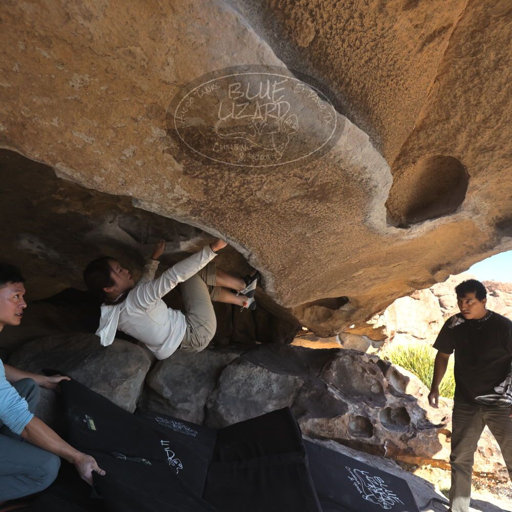 

Filename: SRM_20251110_1346520.jpg
Aperture: f/5.6
Shutter Speed: 1/500
Body: Canon EOS R6
Lens: Canon EF 16-35mm f/2.8 L