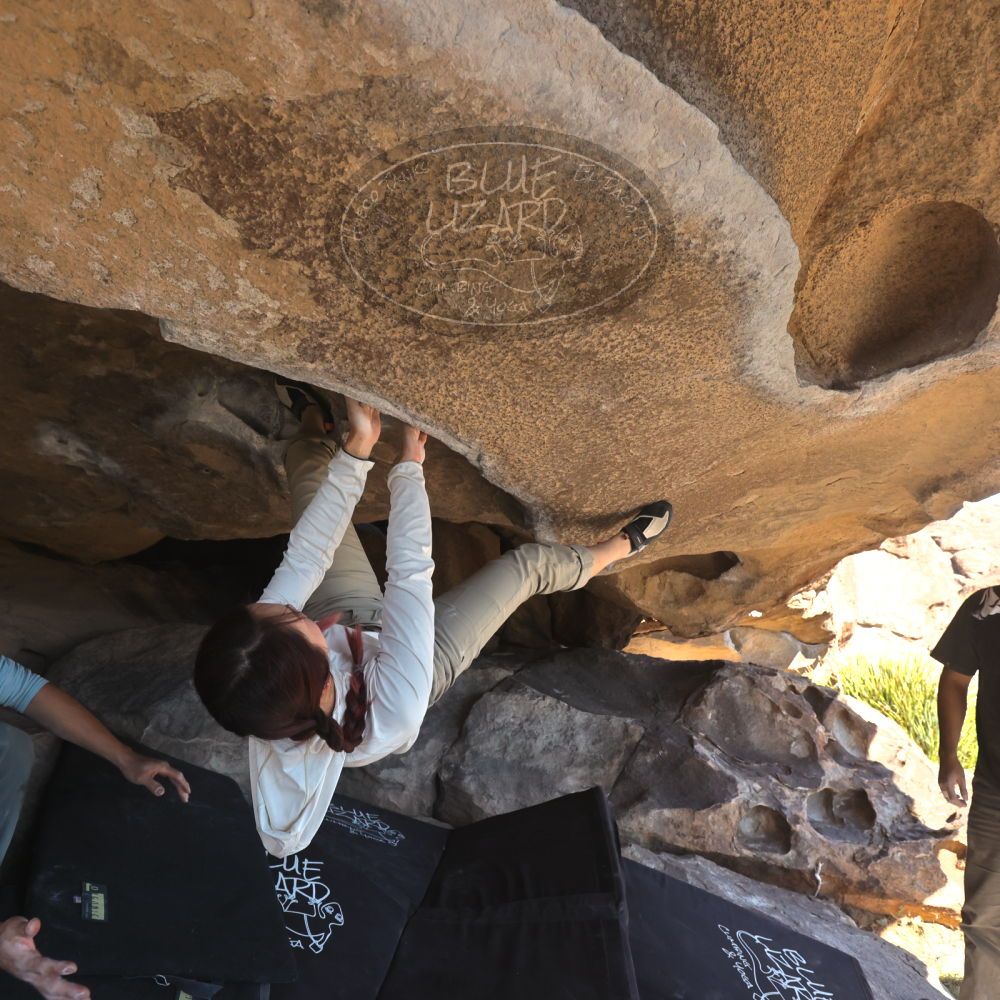 

Filename: SRM_20251110_1347000.jpg
Aperture: f/5.6
Shutter Speed: 1/500
Body: Canon EOS R6
Lens: Canon EF 16-35mm f/2.8 L