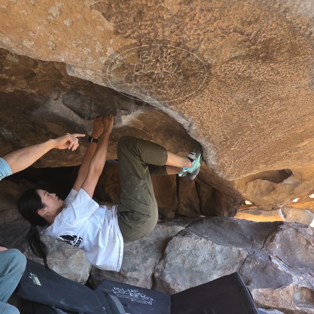 

Filename: SRM_20251110_1355090.jpg
Aperture: f/5.6
Shutter Speed: 1/500
Body: Canon EOS R6
Lens: Canon EF 16-35mm f/2.8 L