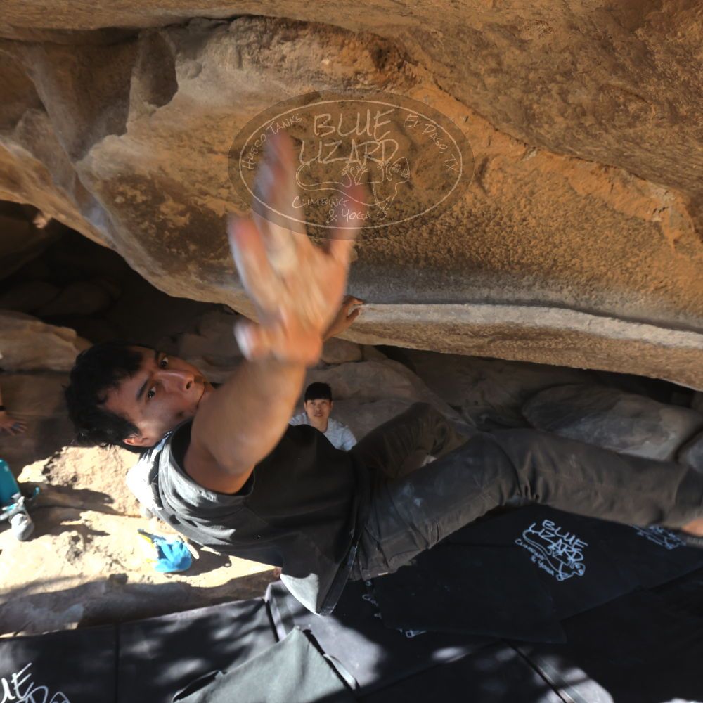 

Filename: SRM_20251110_1414191.jpg
Aperture: f/5.6
Shutter Speed: 1/500
Body: Canon EOS R6
Lens: Canon EF 16-35mm f/2.8 L