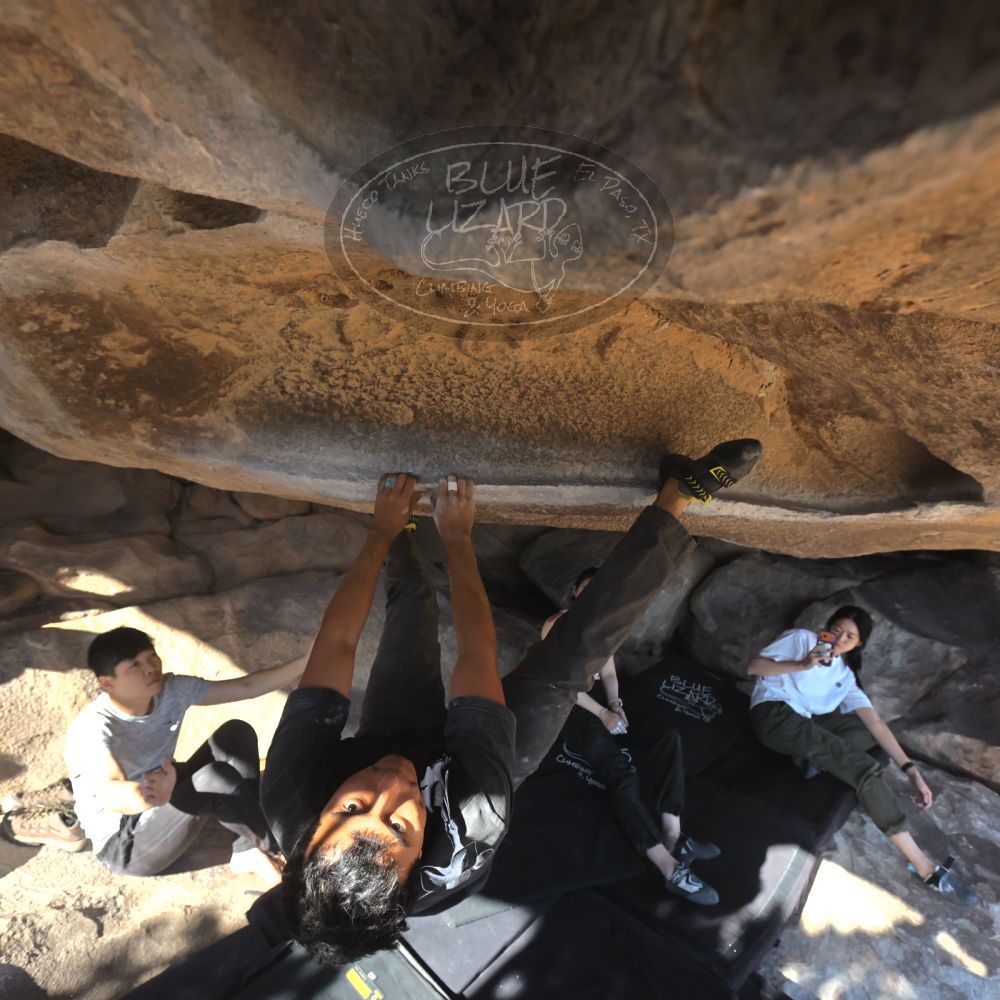 

Filename: SRM_20251110_1425110.jpg
Aperture: f/5.6
Shutter Speed: 1/500
Body: Canon EOS R6
Lens: Canon EF 16-35mm f/2.8 L