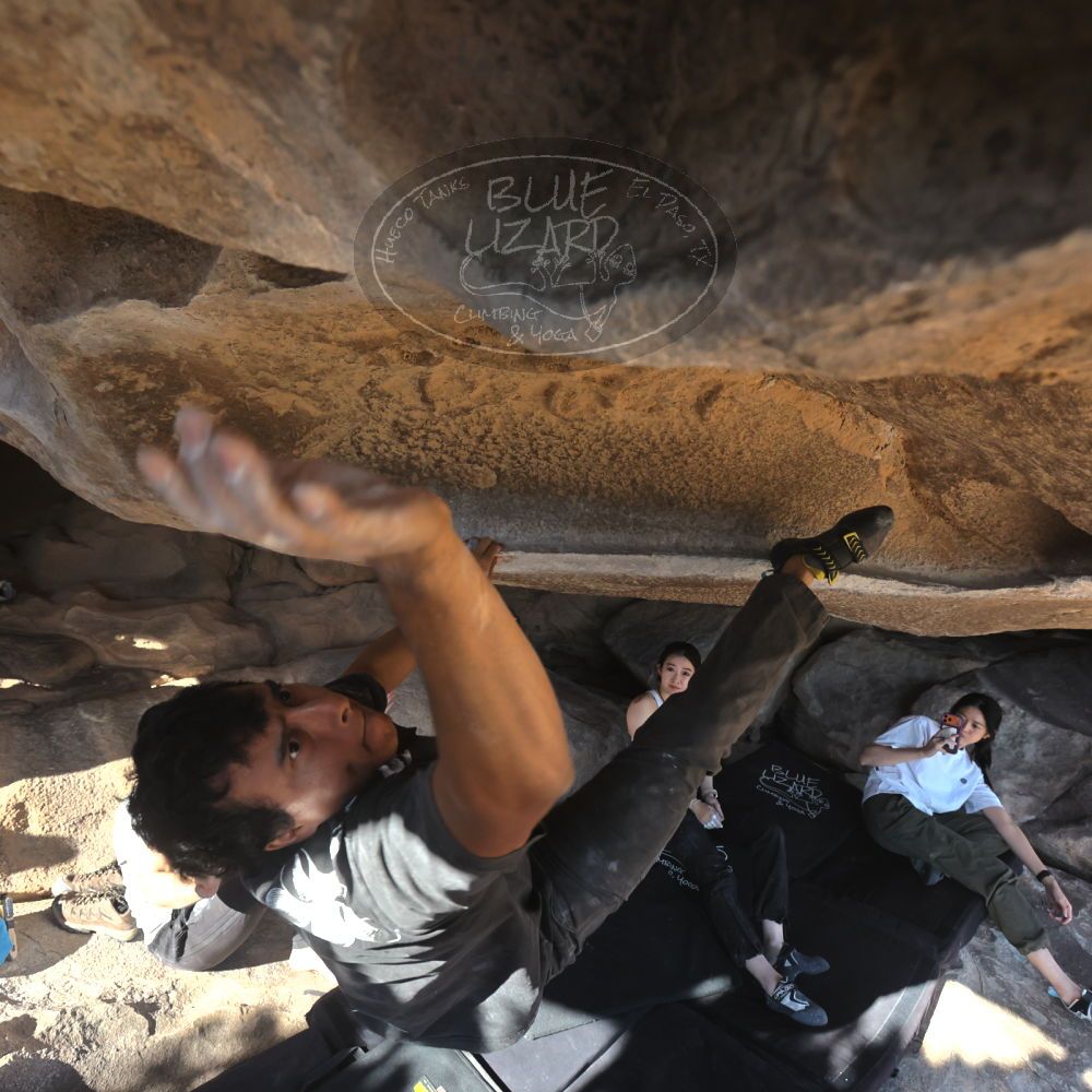 

Filename: SRM_20251110_1425140.jpg
Aperture: f/5.6
Shutter Speed: 1/500
Body: Canon EOS R6
Lens: Canon EF 16-35mm f/2.8 L