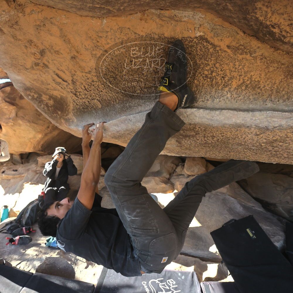 

Filename: SRM_20251110_1442060.jpg
Aperture: f/5.6
Shutter Speed: 1/500
Body: Canon EOS R6
Lens: Canon EF 16-35mm f/2.8 L