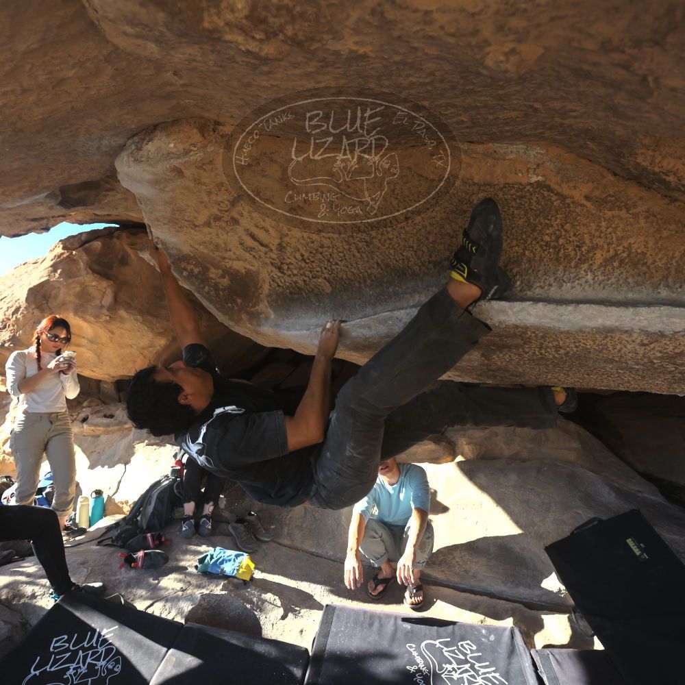 

Filename: SRM_20251110_1442130.jpg
Aperture: f/5.6
Shutter Speed: 1/500
Body: Canon EOS R6
Lens: Canon EF 16-35mm f/2.8 L