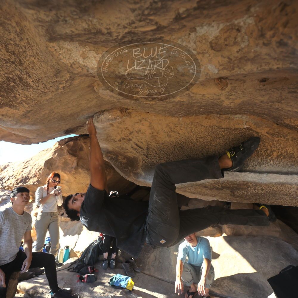 

Filename: SRM_20251110_1442190.jpg
Aperture: f/5.6
Shutter Speed: 1/500
Body: Canon EOS R6
Lens: Canon EF 16-35mm f/2.8 L