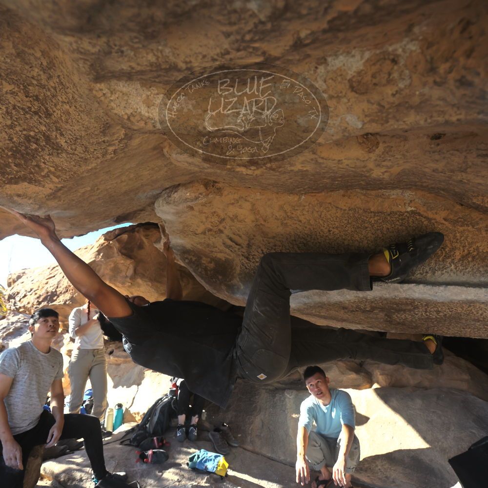 

Filename: SRM_20251110_1442200.jpg
Aperture: f/5.6
Shutter Speed: 1/500
Body: Canon EOS R6
Lens: Canon EF 16-35mm f/2.8 L