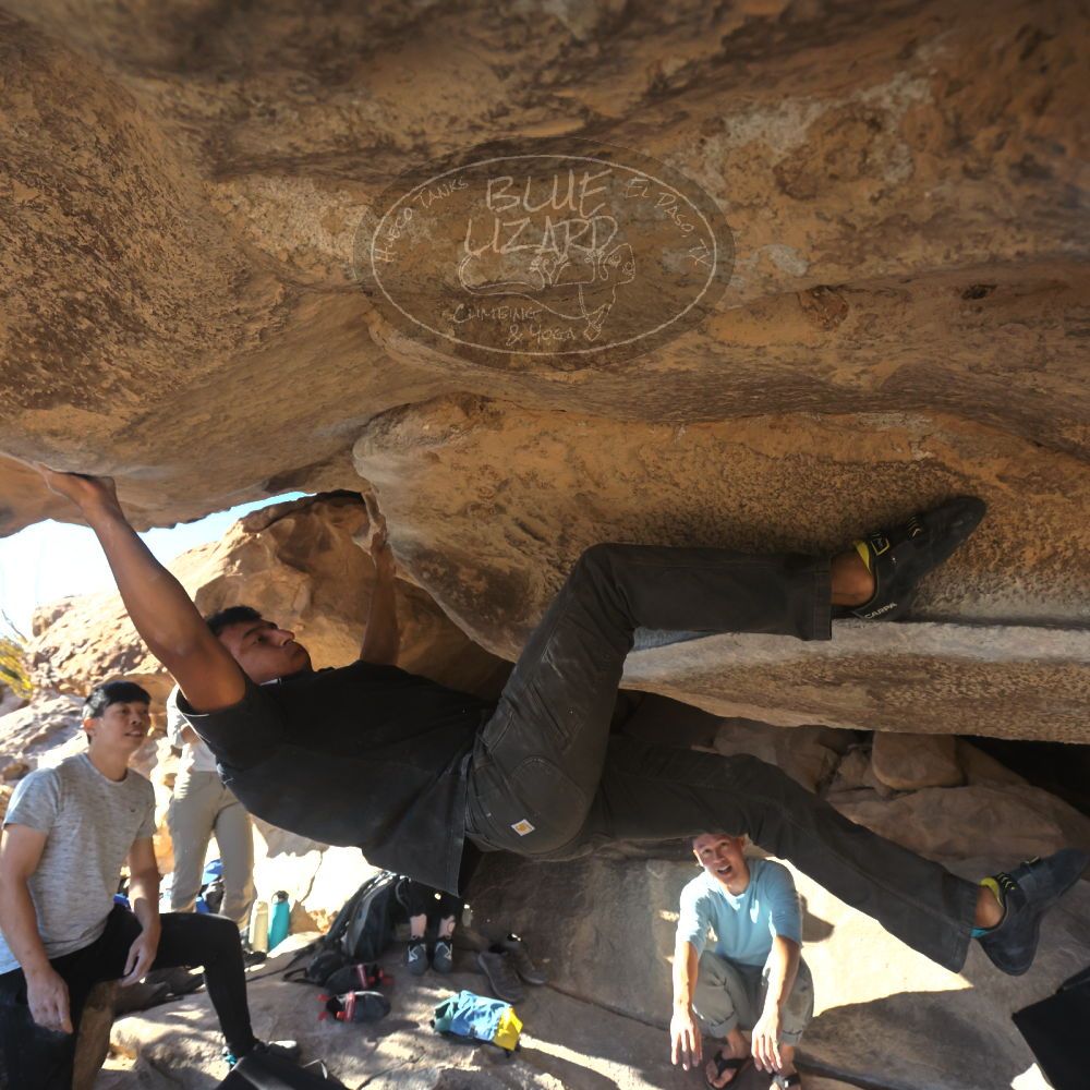 

Filename: SRM_20251110_1442210.jpg
Aperture: f/5.6
Shutter Speed: 1/500
Body: Canon EOS R6
Lens: Canon EF 16-35mm f/2.8 L