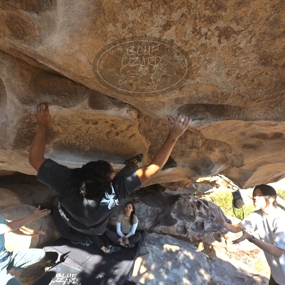 

Filename: SRM_20251110_1450230.jpg
Aperture: f/5.6
Shutter Speed: 1/500
Body: Canon EOS R6
Lens: Canon EF 16-35mm f/2.8 L