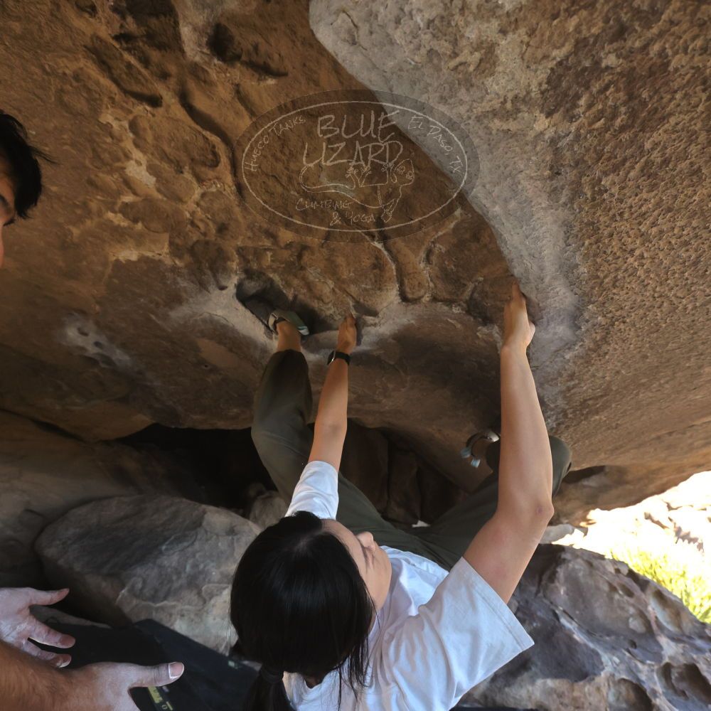 

Filename: SRM_20251110_1457300.jpg
Aperture: f/5.6
Shutter Speed: 1/640
Body: Canon EOS R6
Lens: Canon EF 16-35mm f/2.8 L