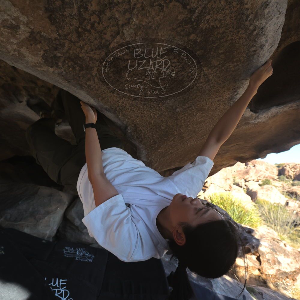 

Filename: SRM_20251110_1457430.jpg
Aperture: f/5.6
Shutter Speed: 1/640
Body: Canon EOS R6
Lens: Canon EF 16-35mm f/2.8 L