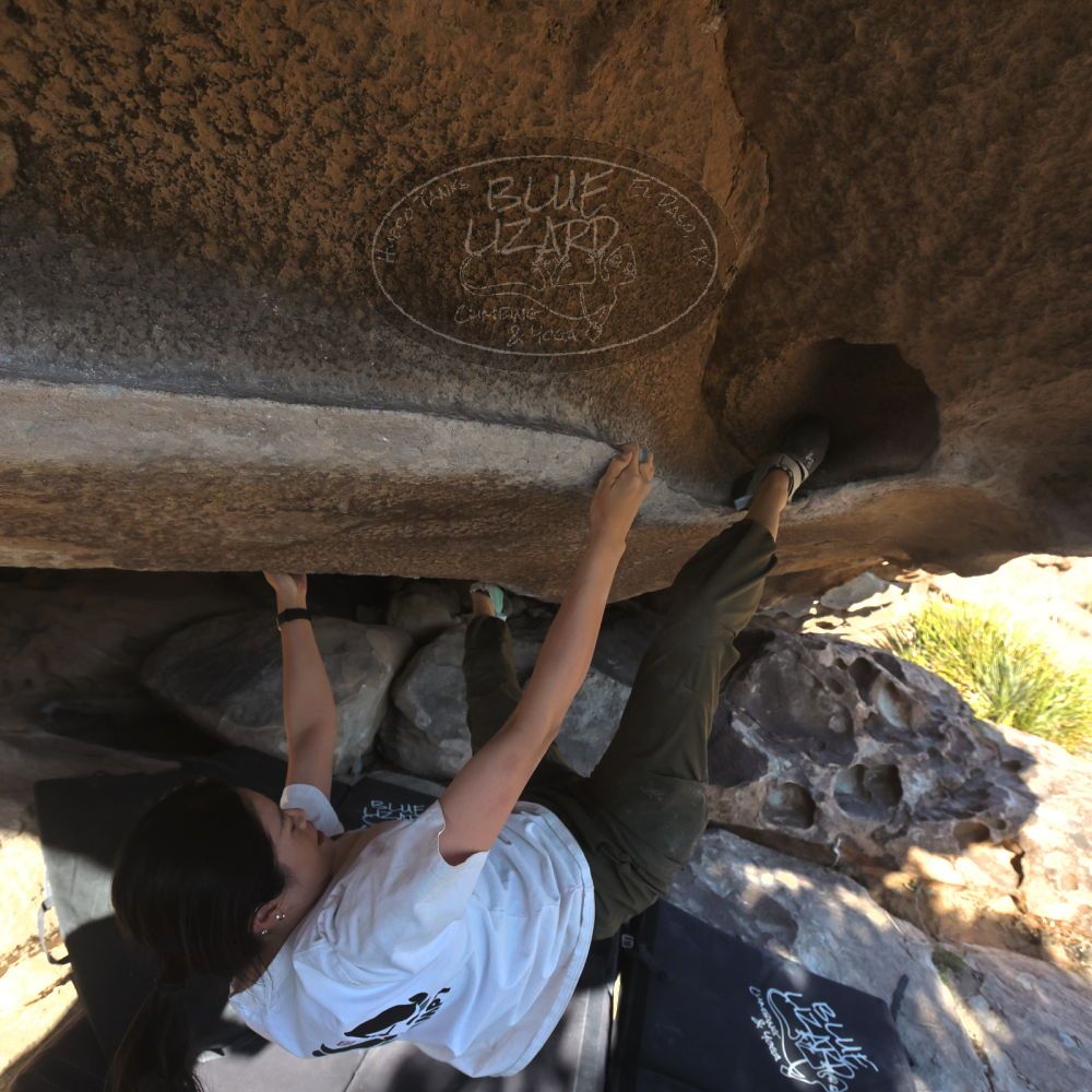 

Filename: SRM_20251110_1457530.jpg
Aperture: f/5.6
Shutter Speed: 1/640
Body: Canon EOS R6
Lens: Canon EF 16-35mm f/2.8 L