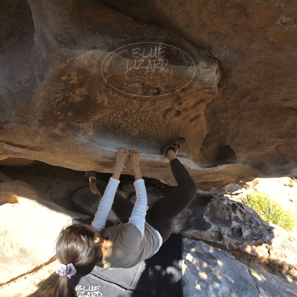 

Filename: SRM_20251110_1502400.jpg
Aperture: f/5.6
Shutter Speed: 1/640
Body: Canon EOS R6
Lens: Canon EF 16-35mm f/2.8 L