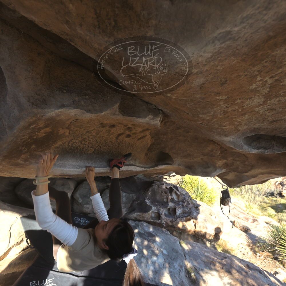 

Filename: SRM_20251110_1502450.jpg
Aperture: f/5.6
Shutter Speed: 1/640
Body: Canon EOS R6
Lens: Canon EF 16-35mm f/2.8 L