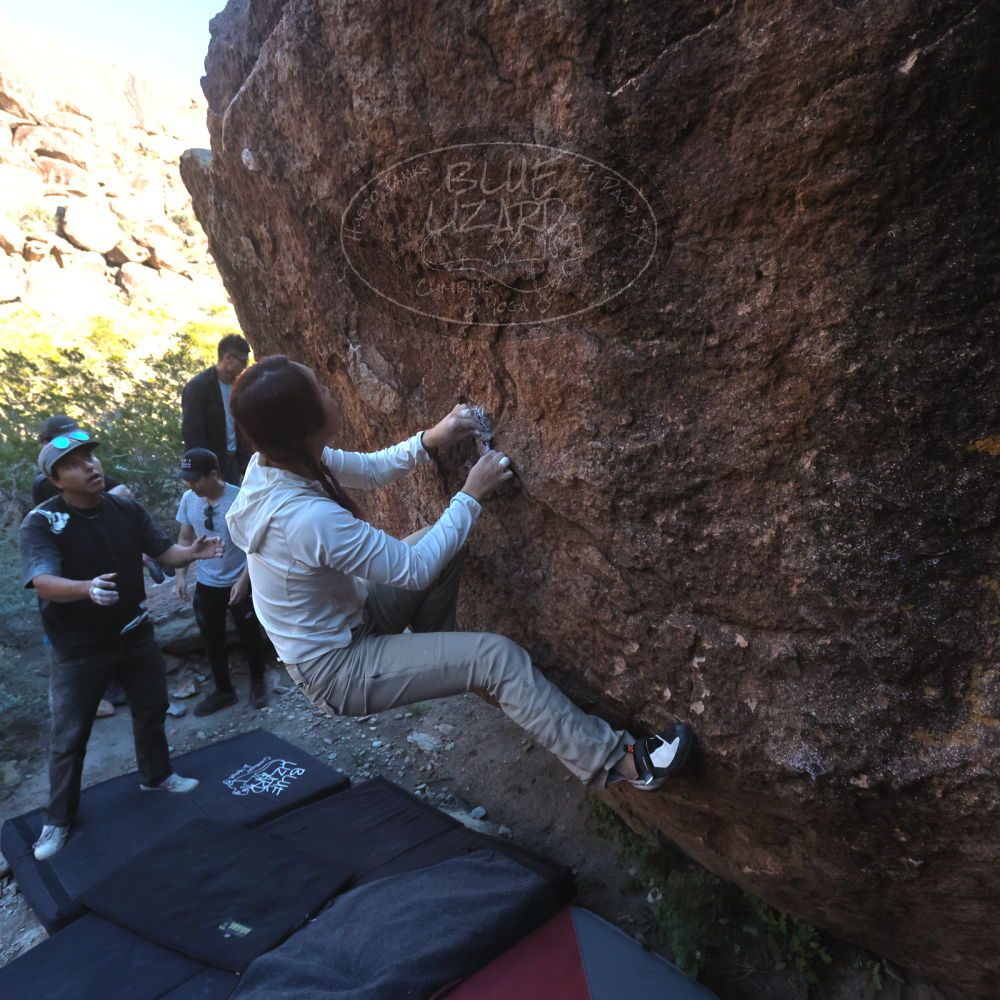 

Filename: SRM_20251110_1532380.jpg
Aperture: f/5.6
Shutter Speed: 1/640
Body: Canon EOS R6
Lens: Canon EF 16-35mm f/2.8 L