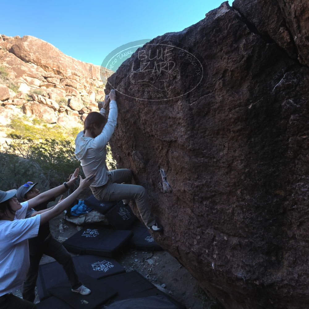 

Filename: SRM_20251110_1538360.jpg
Aperture: f/5.6
Shutter Speed: 1/640
Body: Canon EOS R6
Lens: Canon EF 16-35mm f/2.8 L