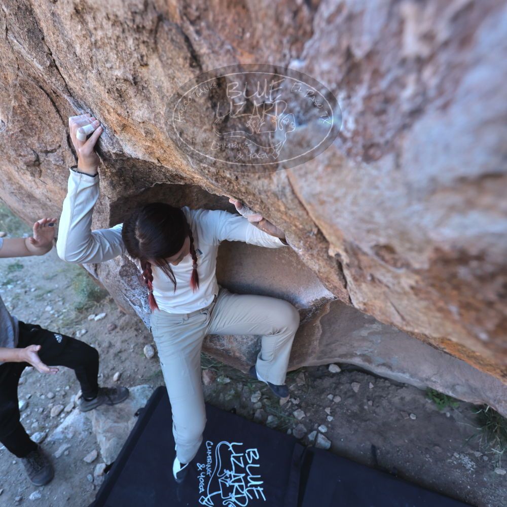 

Filename: SRM_20251110_1544420.jpg
Aperture: f/4.0
Shutter Speed: 1/500
Body: Canon EOS R6
Lens: Canon EF 16-35mm f/2.8 L