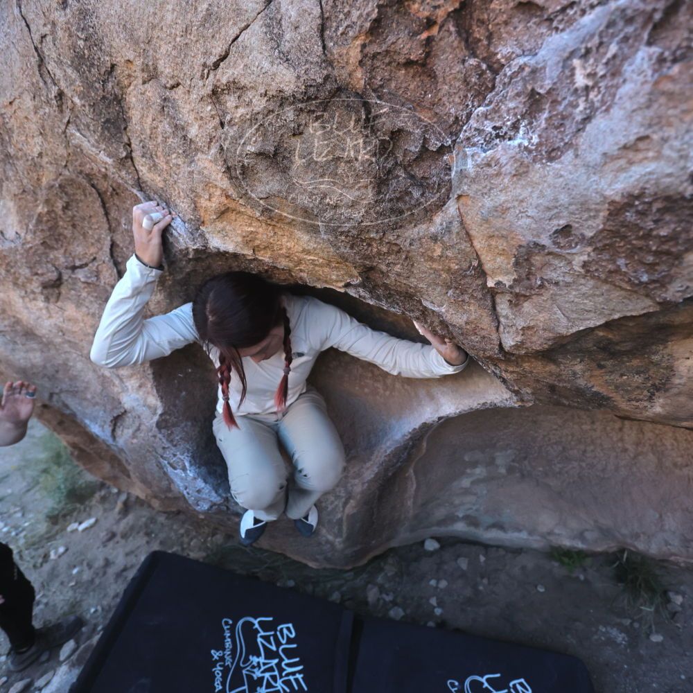 

Filename: SRM_20251110_1547590.jpg
Aperture: f/4.0
Shutter Speed: 1/2500
Body: Canon EOS R6
Lens: Canon EF 16-35mm f/2.8 L