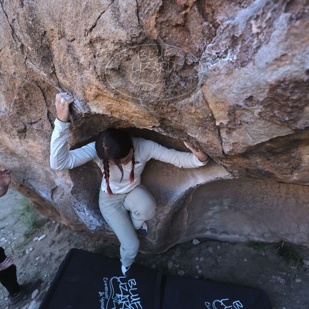 

Filename: SRM_20251110_1548020.jpg
Aperture: f/4.0
Shutter Speed: 1/2500
Body: Canon EOS R6
Lens: Canon EF 16-35mm f/2.8 L