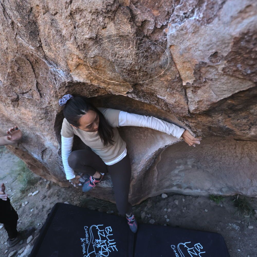 

Filename: SRM_20251110_1548250.jpg
Aperture: f/4.0
Shutter Speed: 1/2500
Body: Canon EOS R6
Lens: Canon EF 16-35mm f/2.8 L