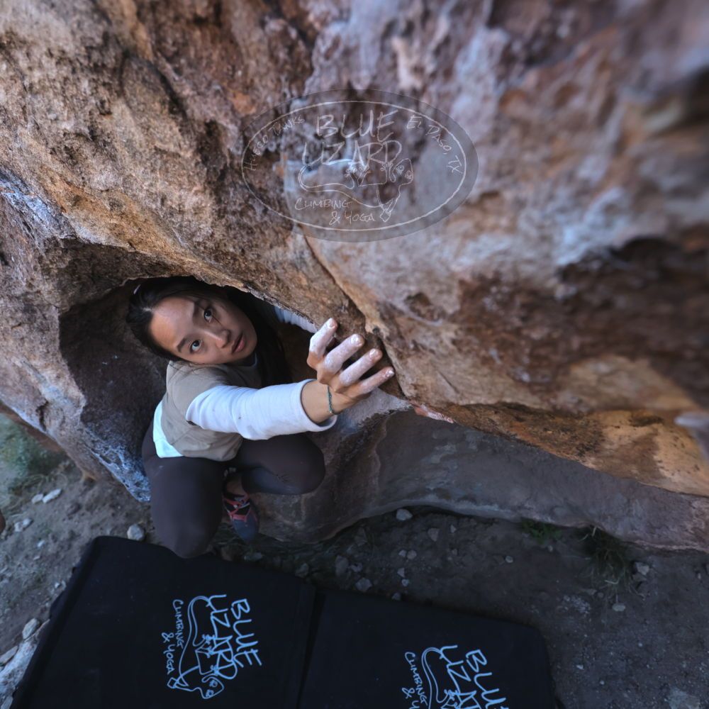 

Filename: SRM_20251110_1550110.jpg
Aperture: f/4.0
Shutter Speed: 1/500
Body: Canon EOS R6
Lens: Canon EF 16-35mm f/2.8 L