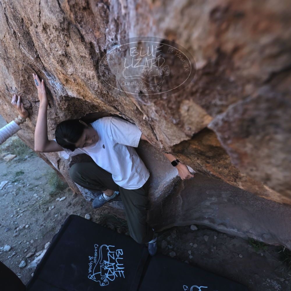 

Filename: SRM_20251110_1553310.jpg
Aperture: f/4.0
Shutter Speed: 1/500
Body: Canon EOS R6
Lens: Canon EF 16-35mm f/2.8 L