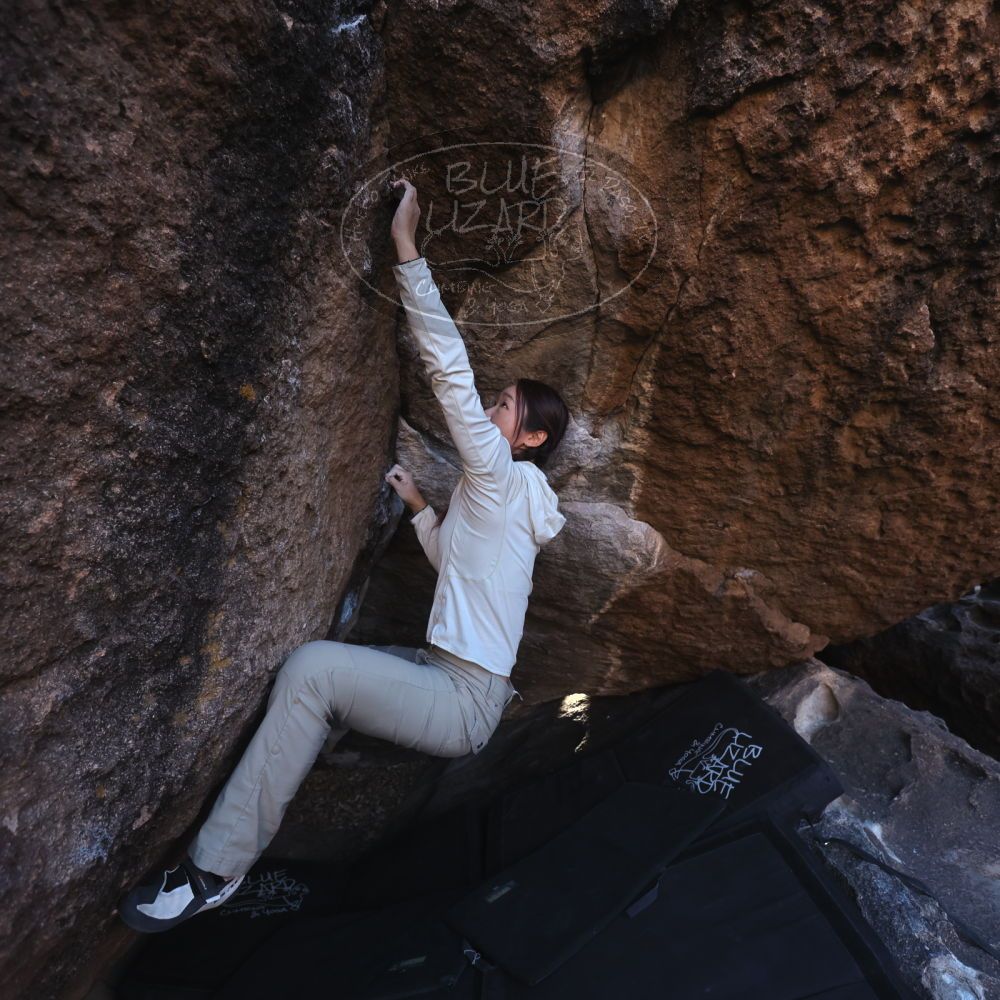 

Filename: SRM_20251110_1558360.jpg
Aperture: f/4.0
Shutter Speed: 1/640
Body: Canon EOS R6
Lens: Canon EF 16-35mm f/2.8 L