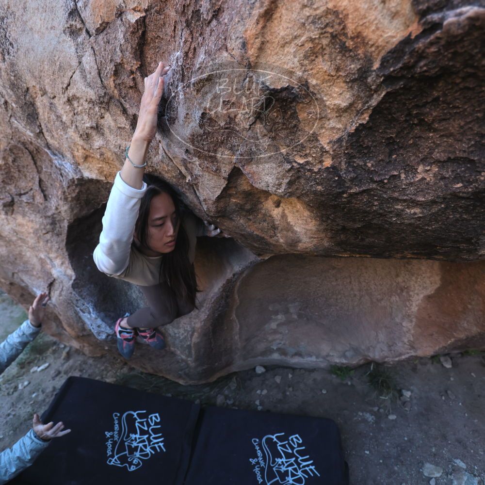 

Filename: SRM_20251110_1601120.jpg
Aperture: f/4.0
Shutter Speed: 1/640
Body: Canon EOS R6
Lens: Canon EF 16-35mm f/2.8 L