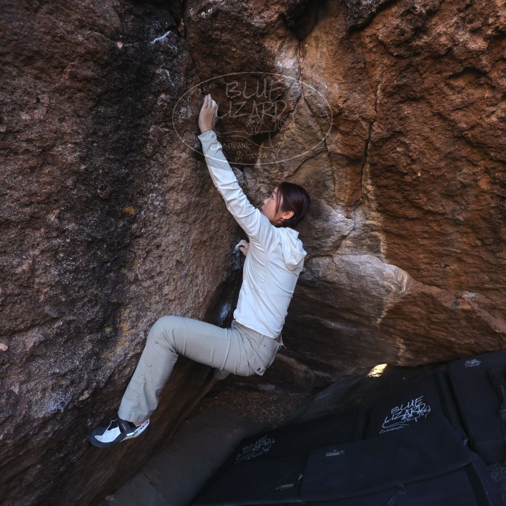 

Filename: SRM_20251110_1604260.jpg
Aperture: f/4.0
Shutter Speed: 1/640
Body: Canon EOS R6
Lens: Canon EF 16-35mm f/2.8 L