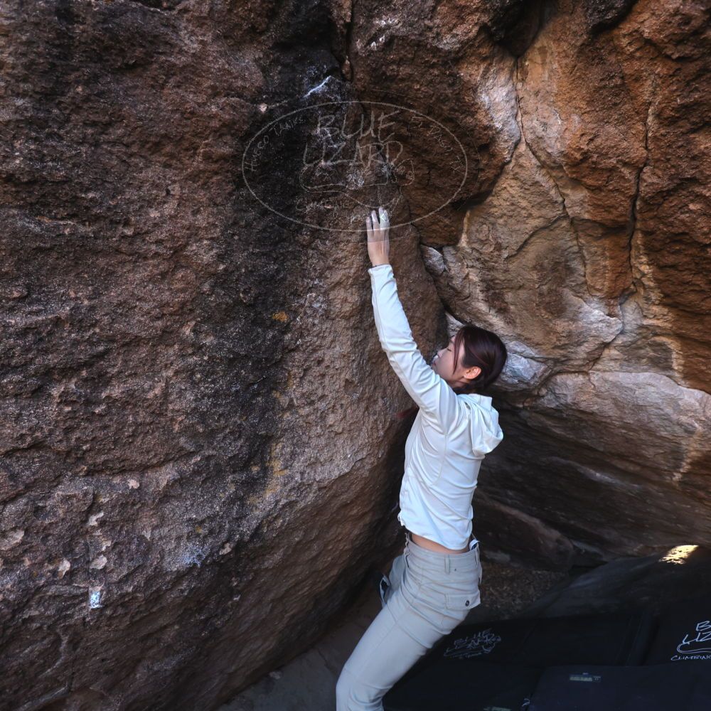 

Filename: SRM_20251110_1605131.jpg
Aperture: f/4.0
Shutter Speed: 1/640
Body: Canon EOS R6
Lens: Canon EF 16-35mm f/2.8 L