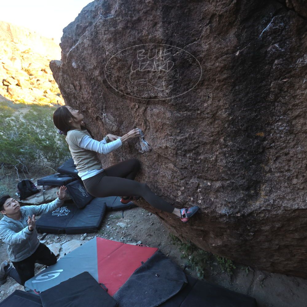 

Filename: SRM_20251110_1652020.jpg
Aperture: f/4.0
Shutter Speed: 1/640
Body: Canon EOS R6
Lens: Canon EF 16-35mm f/2.8 L