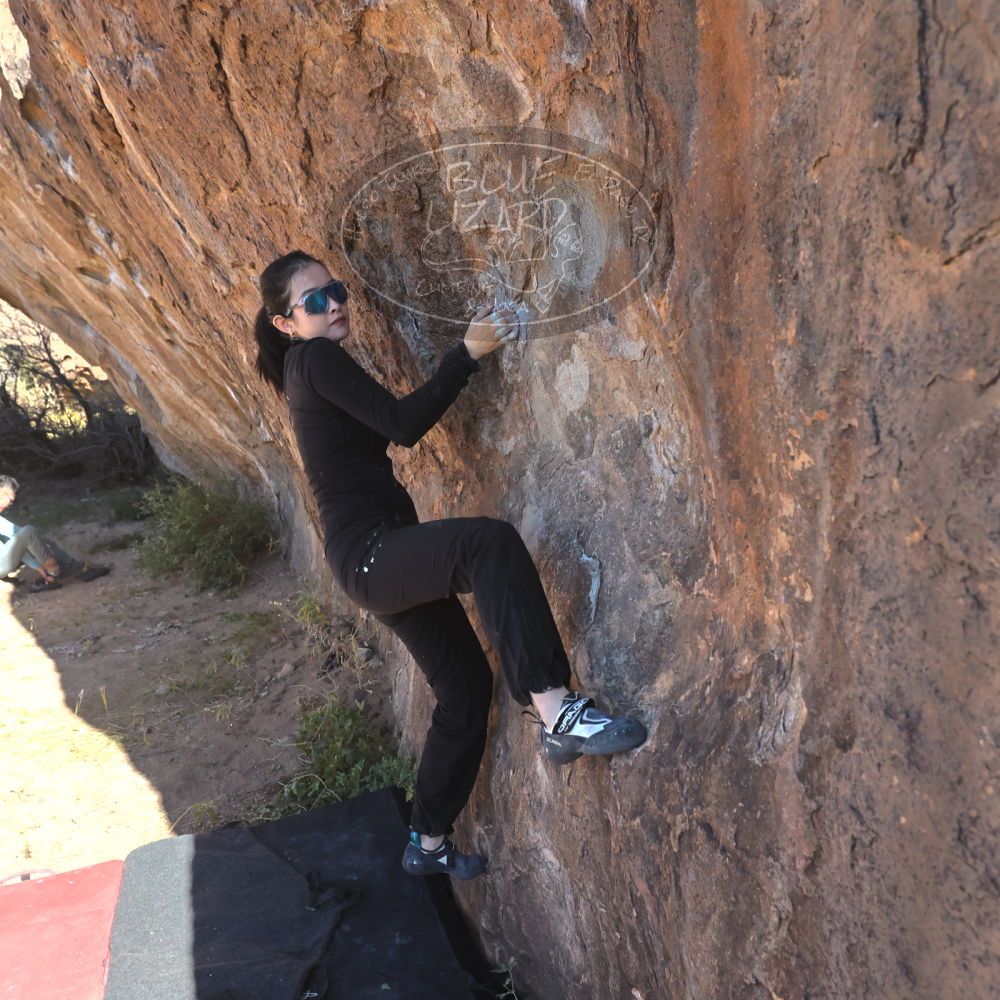 

Filename: SRM_20251110_1045300.jpg
Aperture: f/5.6
Shutter Speed: 1/1000
Body: Canon EOS R6
Lens: Canon EF 16-35mm f/2.8 L