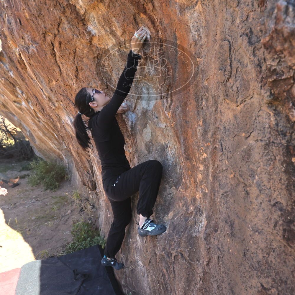 

Filename: SRM_20251110_1045350.jpg
Aperture: f/5.6
Shutter Speed: 1/1000
Body: Canon EOS R6
Lens: Canon EF 16-35mm f/2.8 L