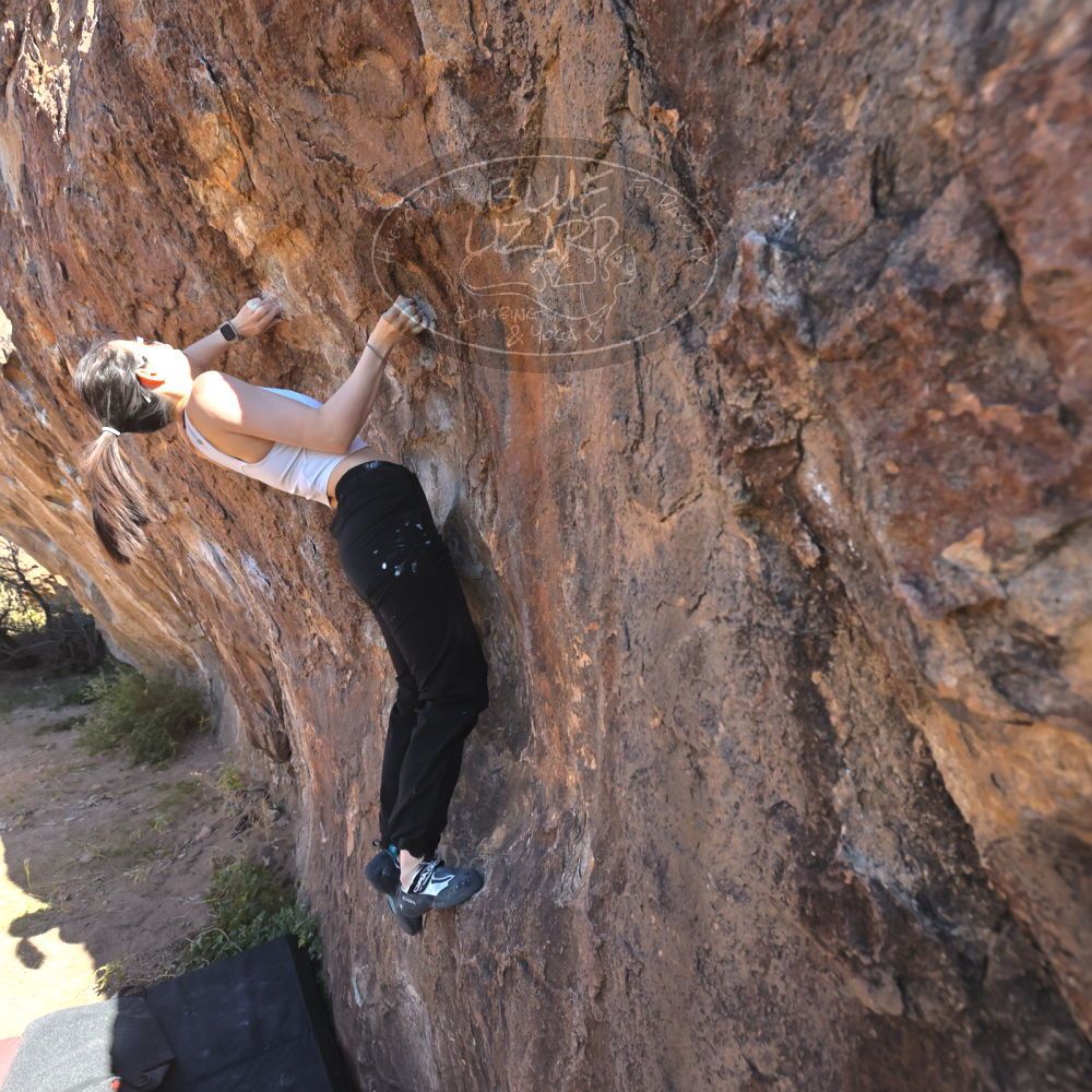 

Filename: SRM_20251110_1049570.jpg
Aperture: f/5.6
Shutter Speed: 1/1000
Body: Canon EOS R6
Lens: Canon EF 16-35mm f/2.8 L