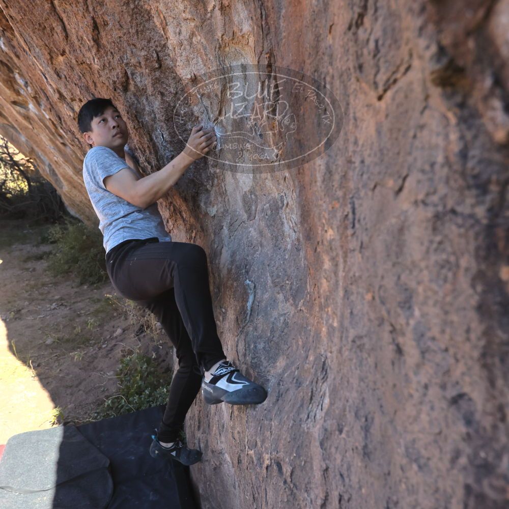 

Filename: SRM_20251110_1051210.jpg
Aperture: f/5.6
Shutter Speed: 1/1000
Body: Canon EOS R6
Lens: Canon EF 16-35mm f/2.8 L