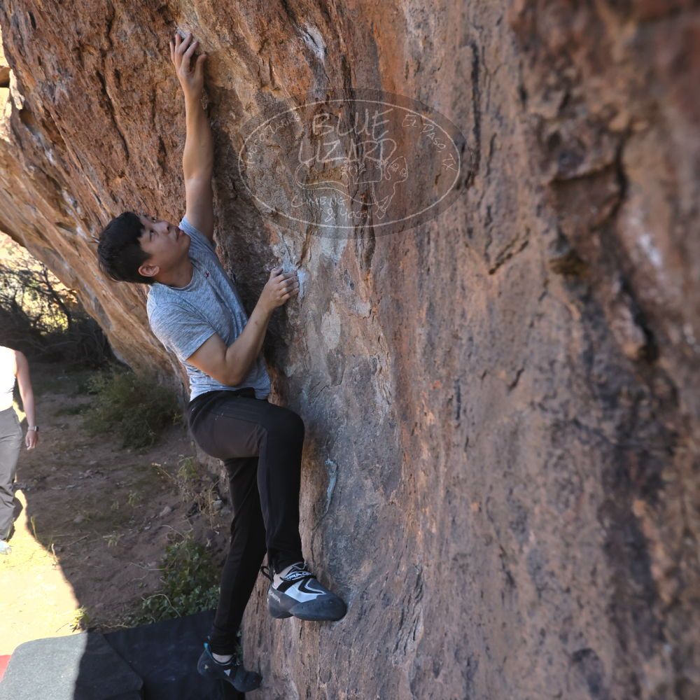 

Filename: SRM_20251110_1051240.jpg
Aperture: f/5.6
Shutter Speed: 1/1000
Body: Canon EOS R6
Lens: Canon EF 16-35mm f/2.8 L