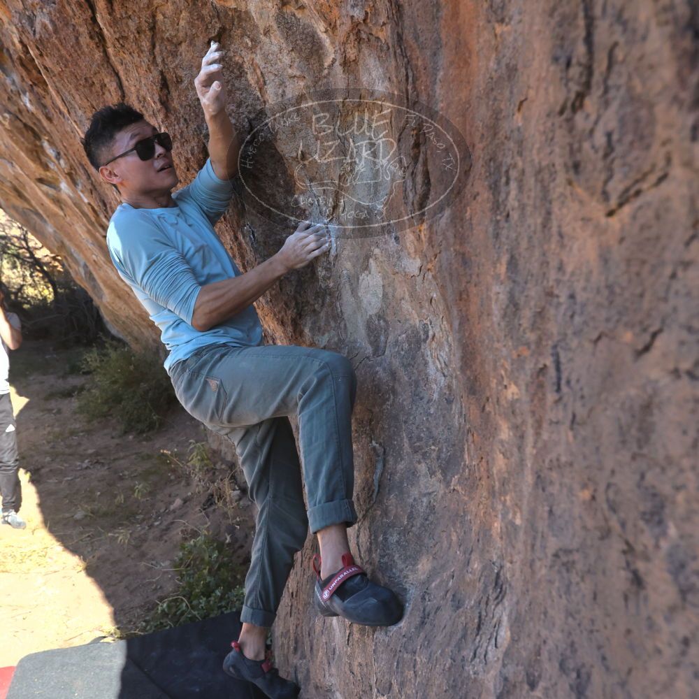 

Filename: SRM_20251110_1058211.jpg
Aperture: f/5.6
Shutter Speed: 1/1000
Body: Canon EOS R6
Lens: Canon EF 16-35mm f/2.8 L