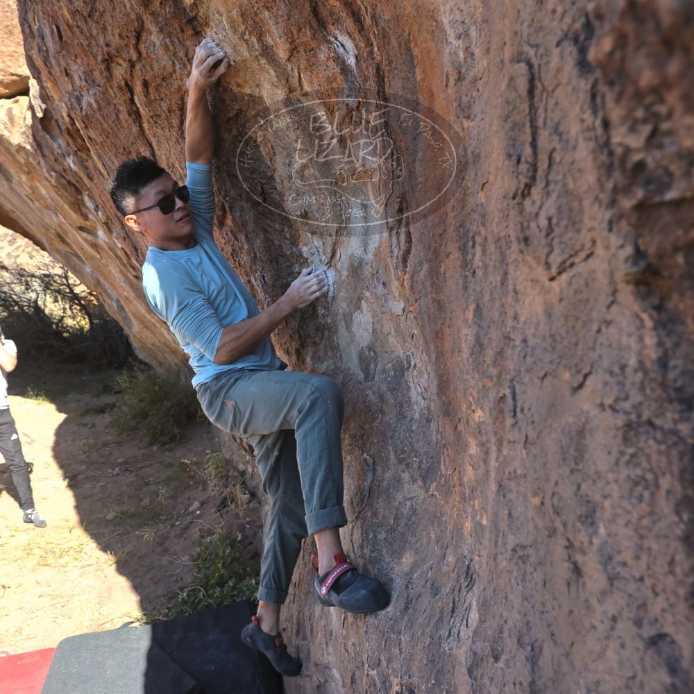 

Filename: SRM_20251110_1058220.jpg
Aperture: f/5.6
Shutter Speed: 1/1000
Body: Canon EOS R6
Lens: Canon EF 16-35mm f/2.8 L