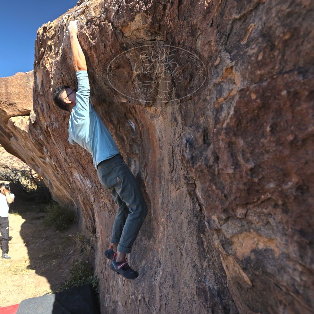 

Filename: SRM_20251110_1058250.jpg
Aperture: f/5.6
Shutter Speed: 1/1000
Body: Canon EOS R6
Lens: Canon EF 16-35mm f/2.8 L