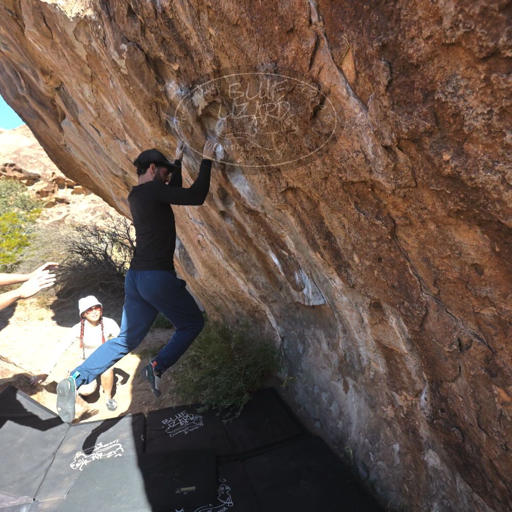 

Filename: SRM_20251110_1107181.jpg
Aperture: f/5.6
Shutter Speed: 1/1000
Body: Canon EOS R6
Lens: Canon EF 16-35mm f/2.8 L