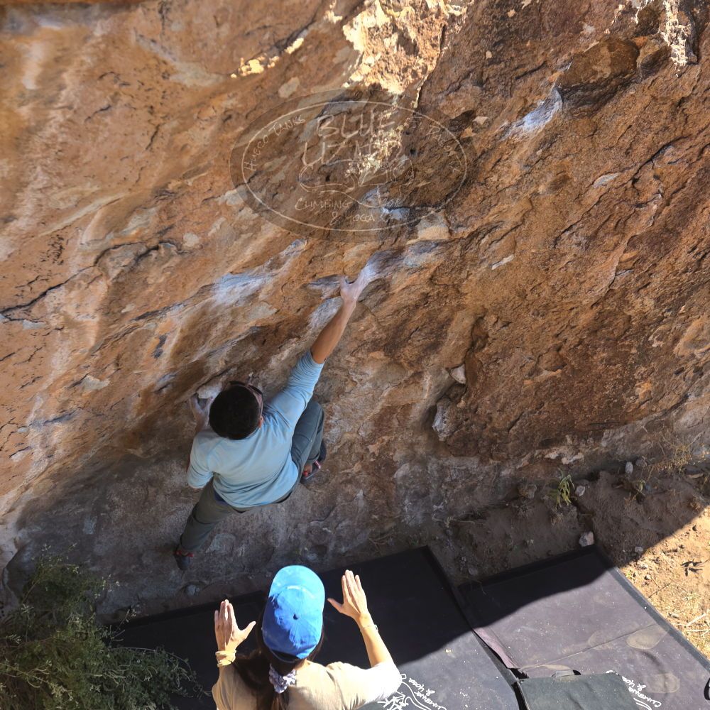 

Filename: SRM_20251110_1132450.jpg
Aperture: f/4.0
Shutter Speed: 1/500
Body: Canon EOS R6
Lens: Canon EF 16-35mm f/2.8 L