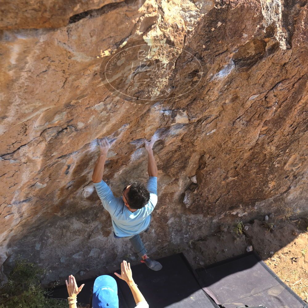 

Filename: SRM_20251110_1132470.jpg
Aperture: f/4.0
Shutter Speed: 1/500
Body: Canon EOS R6
Lens: Canon EF 16-35mm f/2.8 L