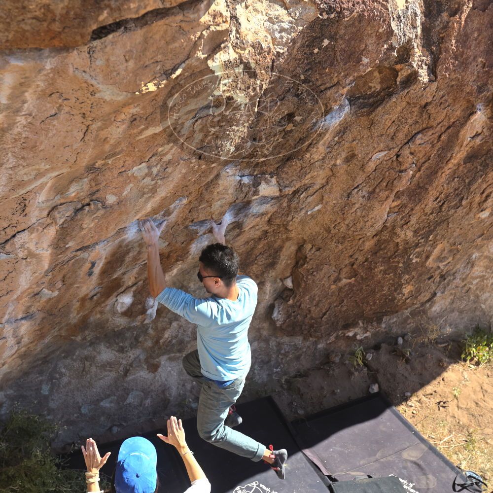 

Filename: SRM_20251110_1132471.jpg
Aperture: f/4.0
Shutter Speed: 1/500
Body: Canon EOS R6
Lens: Canon EF 16-35mm f/2.8 L