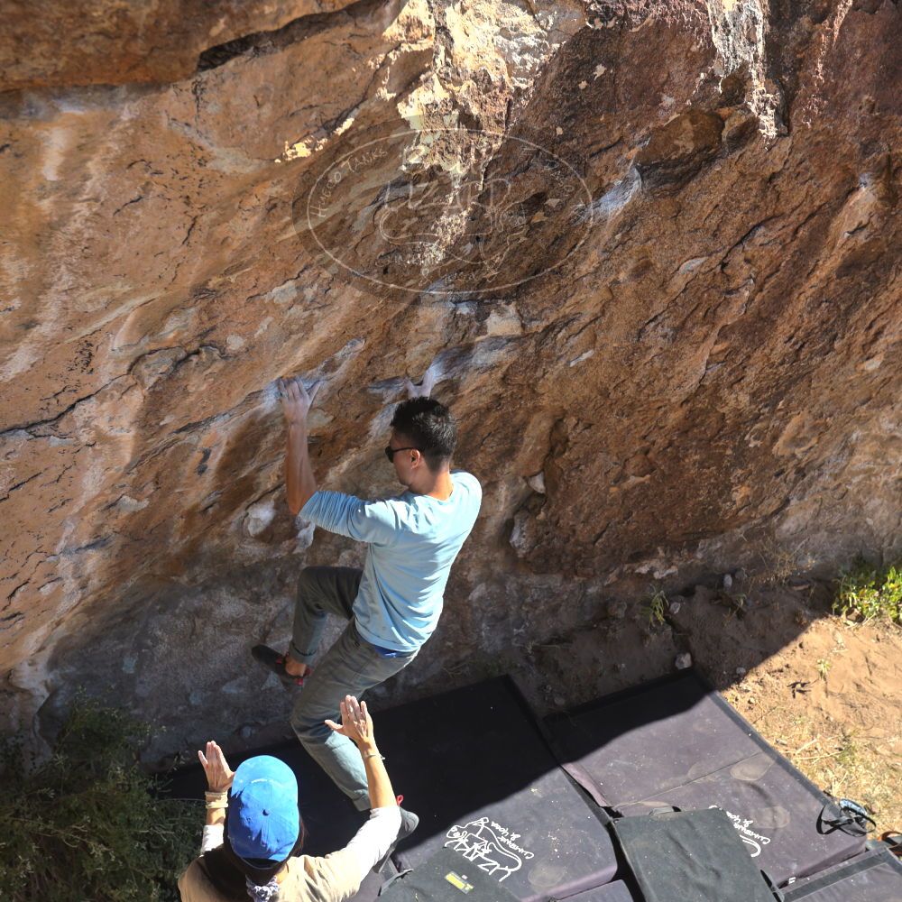 

Filename: SRM_20251110_1132480.jpg
Aperture: f/4.0
Shutter Speed: 1/500
Body: Canon EOS R6
Lens: Canon EF 16-35mm f/2.8 L