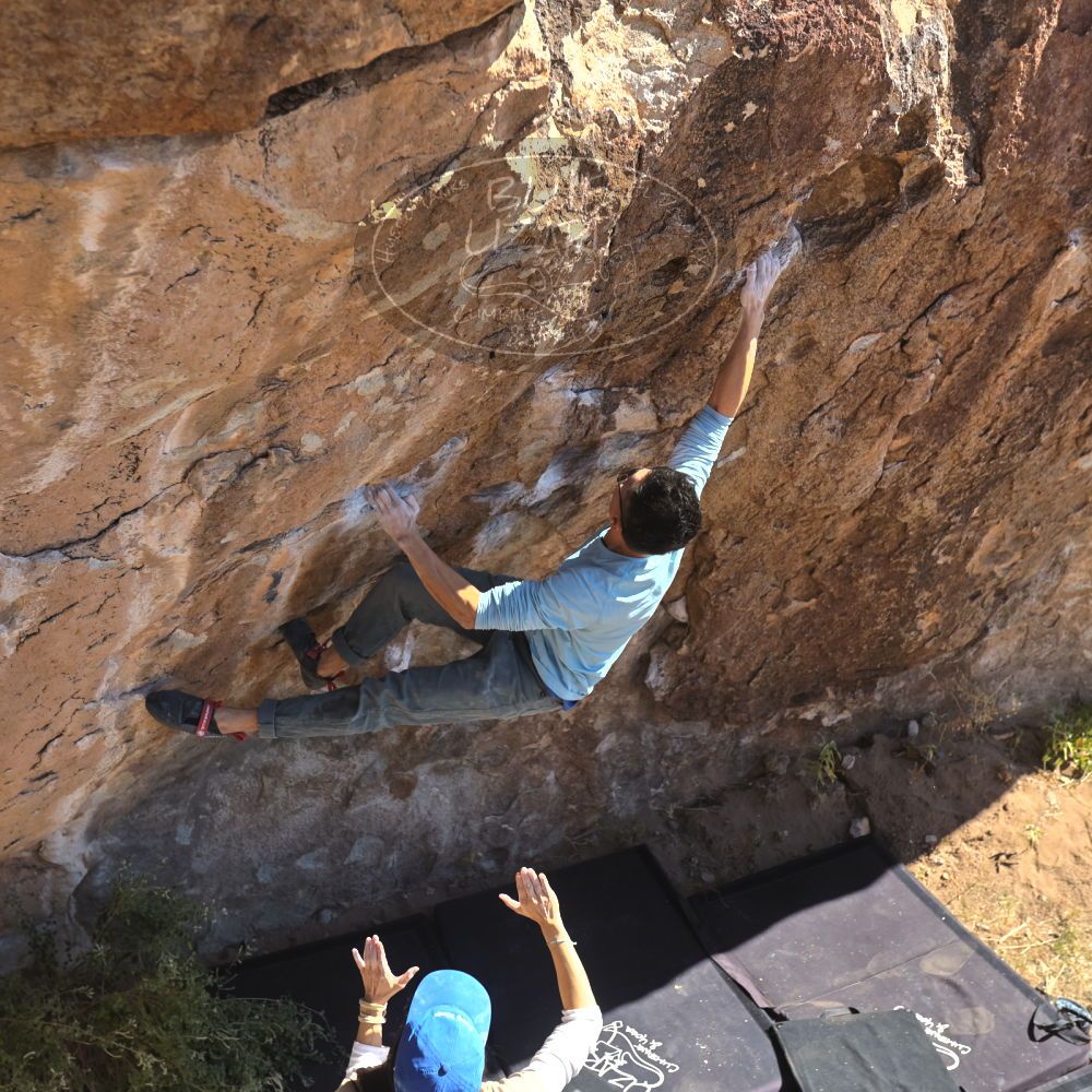 

Filename: SRM_20251110_1132520.jpg
Aperture: f/4.0
Shutter Speed: 1/500
Body: Canon EOS R6
Lens: Canon EF 16-35mm f/2.8 L