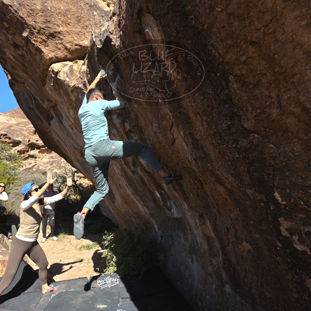 

Filename: SRM_20251110_1141070.jpg
Aperture: f/5.6
Shutter Speed: 1/800
Body: Canon EOS R6
Lens: Canon EF 16-35mm f/2.8 L